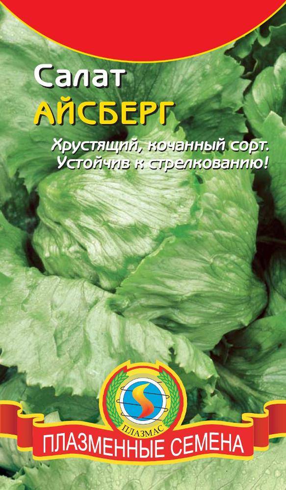 Выращивание салатов и их сорта 598 Выращивание салатов и их сорта 156