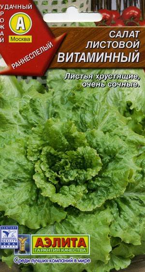 Салат витаминный семена