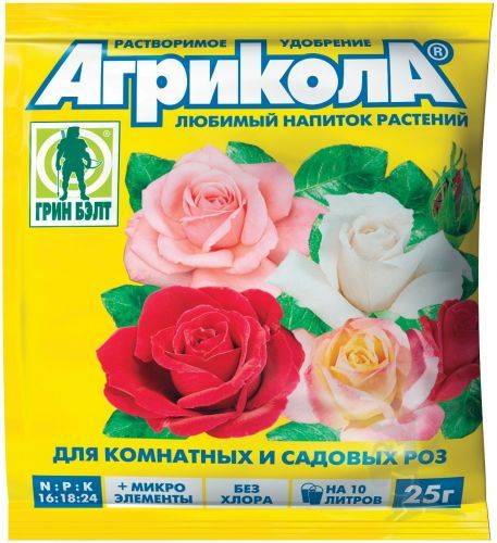 Чем удобрять розы в домашних условиях
