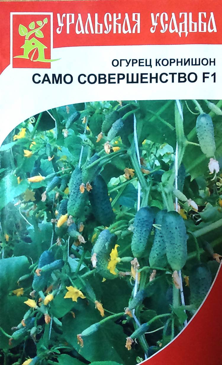 Огурцы само совершенство и отзывы