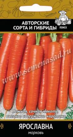 Морковь Ярославна (Поиск)