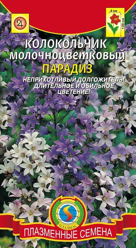 Колокольчики семена куплю Колокольчики семена куплю