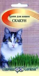Трава для кошек Скакун (Гавриш)