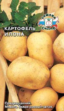 Картофель Илона (СеДеК)