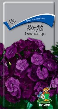 Гвоздика Турецкая Фиолетовая гора (Поиск)