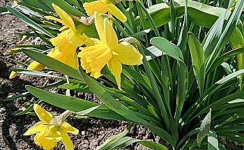 IMG_20250420_102506