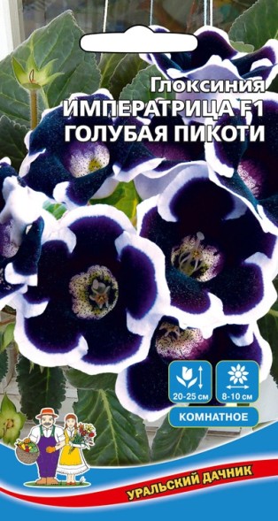 Семена Глоксиния Императрица F1 Голубая Пикоти УД