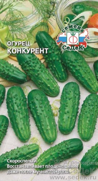 Семена Огурец Конкурент (СеДеК)
