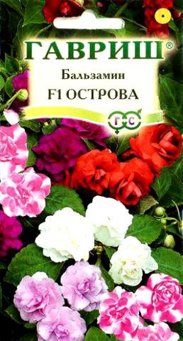 Семена Бальзамин F1 Острова (Гавриш)