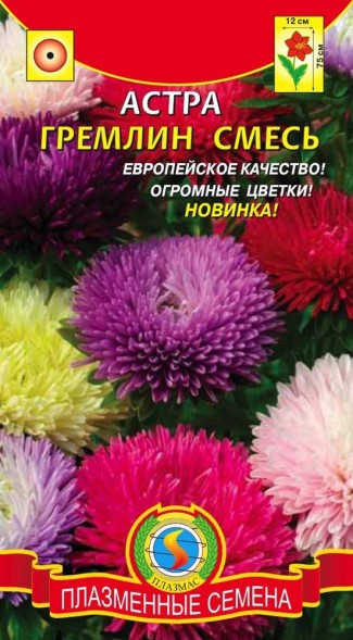 Семена Астра Гремлин смесь ПЛ