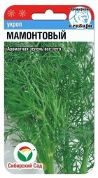 Укроп Мамонтовый (Сиб сад)
