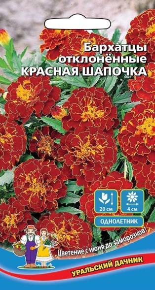 Семена Бархатцы отклоненные Красная шапочка УД