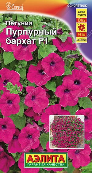 Семена Петуния Пурпурный бархат F1 ампельная (Аэлита)