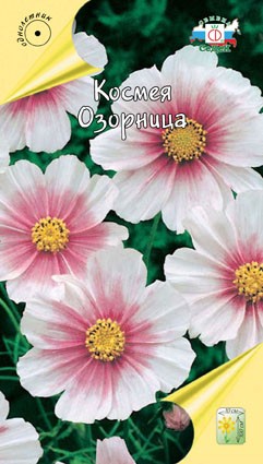 Семена Космея Озорница (СеДеК)