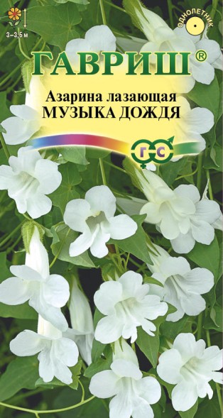 Семена Азарина Музыка дождя лазающая (Гавриш)