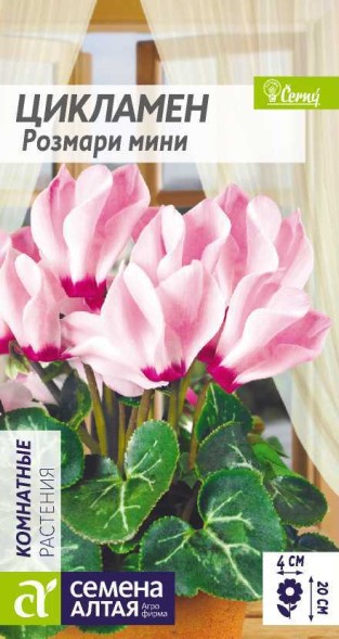 Семена Цикламен Розмари мини (Семена Алтая)