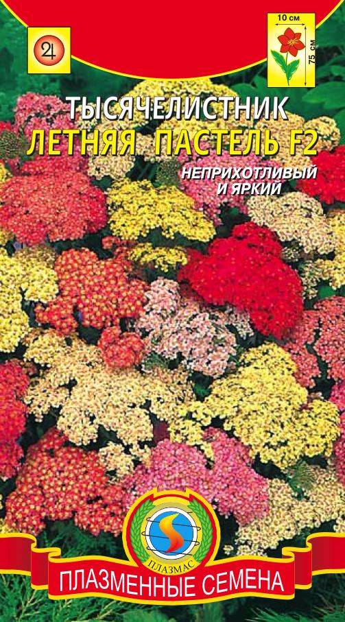 Многолетние Семена Овощей