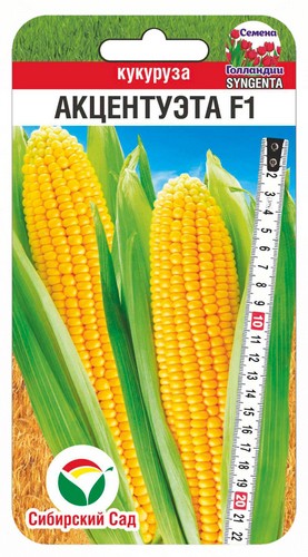 Семена Кукуруза Акцентуэта F1 (Сиб сад)