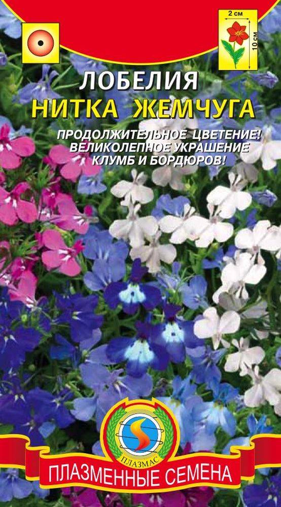 Лобелия Длинночерешковая Жемчужная Нить