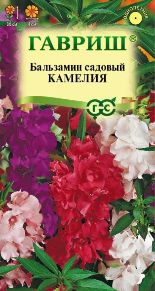 Семена Бальзамин Камелия (Гавриш)