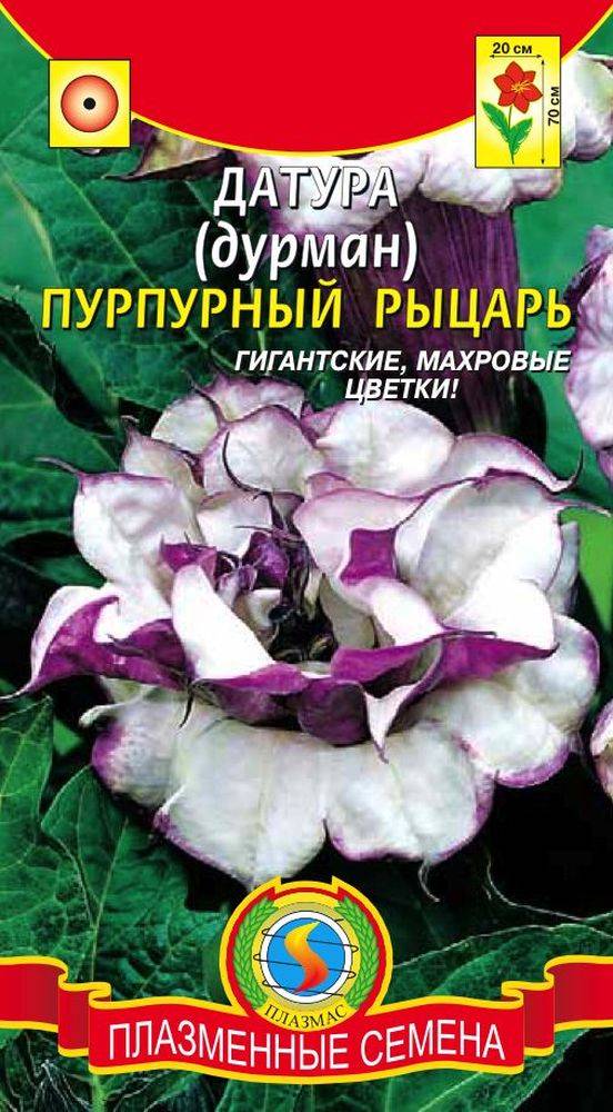 Датура дурман махровый