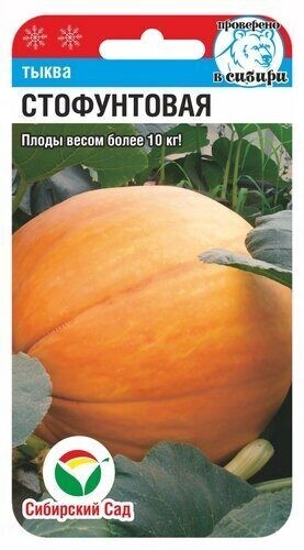 Семена Тыква Стофунтовая (Сиб сад)
