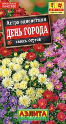 Астра День города (Аэлита)