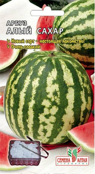 Купить Семена Алый Сахар