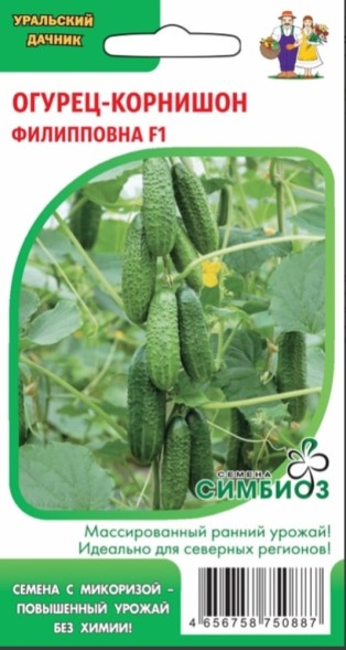 Семена Огурец Филипповна F1 (УД)
