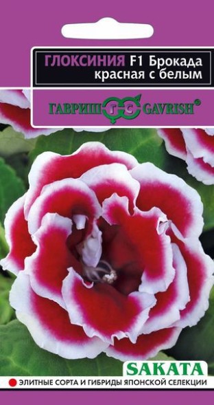 Семена Глоксиния Брокада красная с белым F1 (Гавриш)