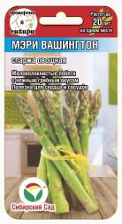 Спаржа Мэри Вашингтон (Сиб Сад)