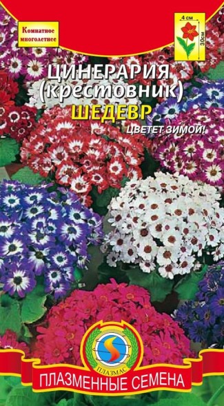 Семена Цинерария (крестовник) Шедевр ПЛ