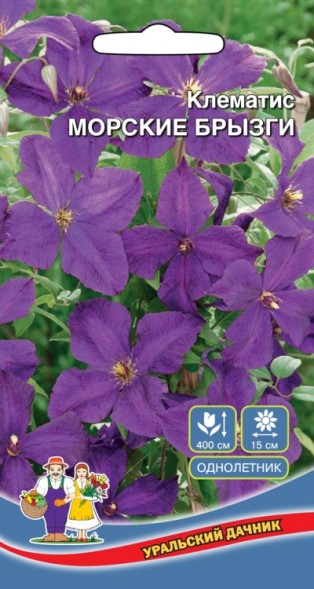 Семена Клематис Морские Брызги УД
