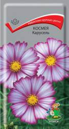 Космея Карусель (Поиск)