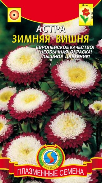 Семена Астра Зимняя вишня ПЛ