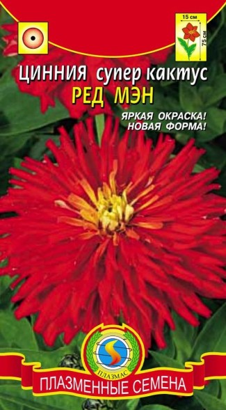 Семена Цинния супер-кактус Ред мэн ПЛ