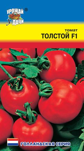 Купить томаты толстой. Помидоры толстой ф 1. Томат толстой семена. Томат толстой f1. Томаты толстой урожай.