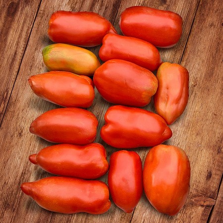 Семена Томат Корнабель (Сады России)