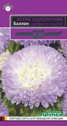 Астра Баллон серебристо-голубой (Гавриш)