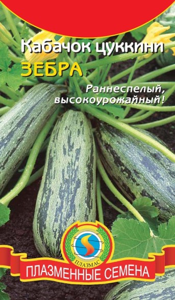 Семена Кабачок цуккини Зебра ПЛ