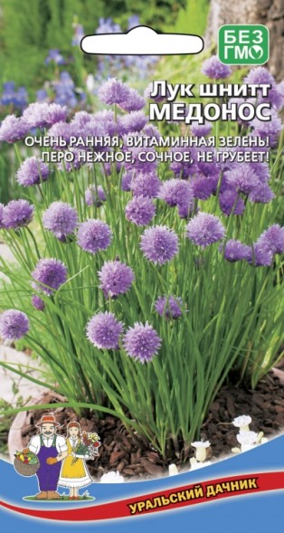 Семена Лук шнитт Медонос УД