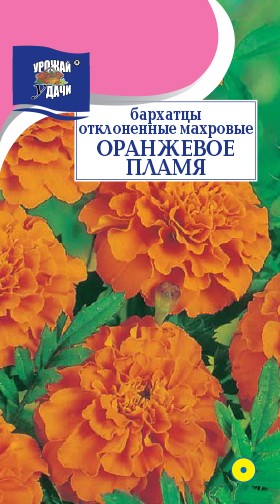 Семена Бархатцы отклоненные Оранжевое Пламя УУД