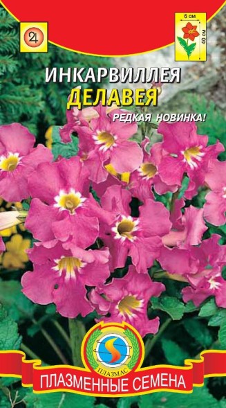 Семена Инкарвиллея Делавея ПЛ