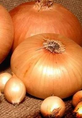  Лук - севок Штуттгартер Ризен 1 кг