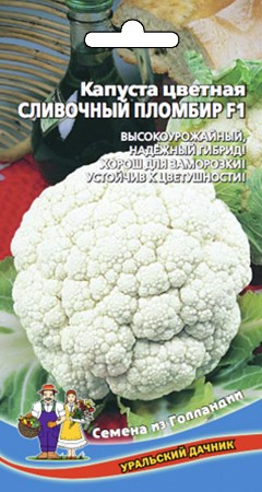 Семена Капуста цветная Сливочный пломбир F1 УД