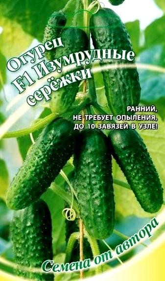 Семена Огурец Изумрудные сережки F1 (Гавриш)