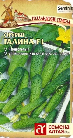 Семена Огурец Галина F1 (Семена Алтая)