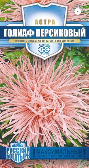 Семена Астра Голиаф (Гавриш)