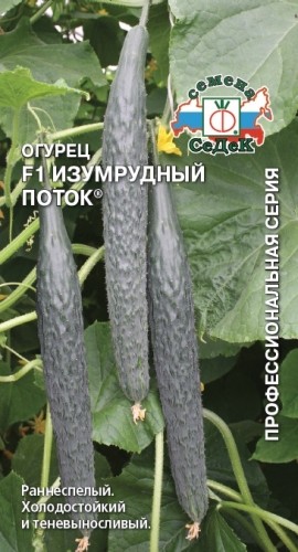 Семена Огурец F1 Изумрудный Поток (СеДеК)