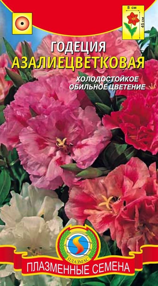 годеция махровая johnsons. гавриш годеция красавица. годеция микс. годеция в букете. годеция.